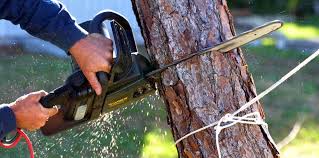 Best Lawn Watering Services  in Port Orchard, WA