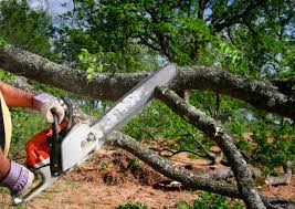 Best Soil Testing and Treatment  in Port Orchard, WA